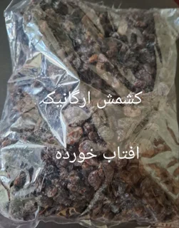 کشمش ارگانیک