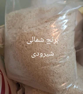 برنج شمالی شیرودی