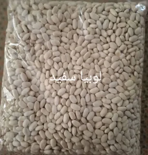 لوبیا سفید