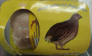 بلدرچین منجمد