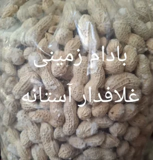 بادام زمینی غلافدار آستانه ۵۰۰ گرمی