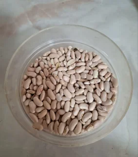 لوبیا گرم بلند ۹۰۰ گرم